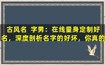 古风名  字男：在线量身定制好名，深度剖析名字的好坏，你真的了解吗